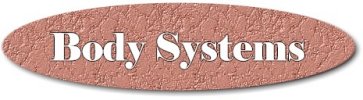 Body Systems Logo